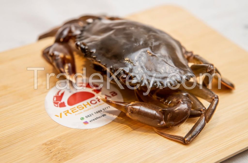 FROZEN SOFT SHELL CRAB