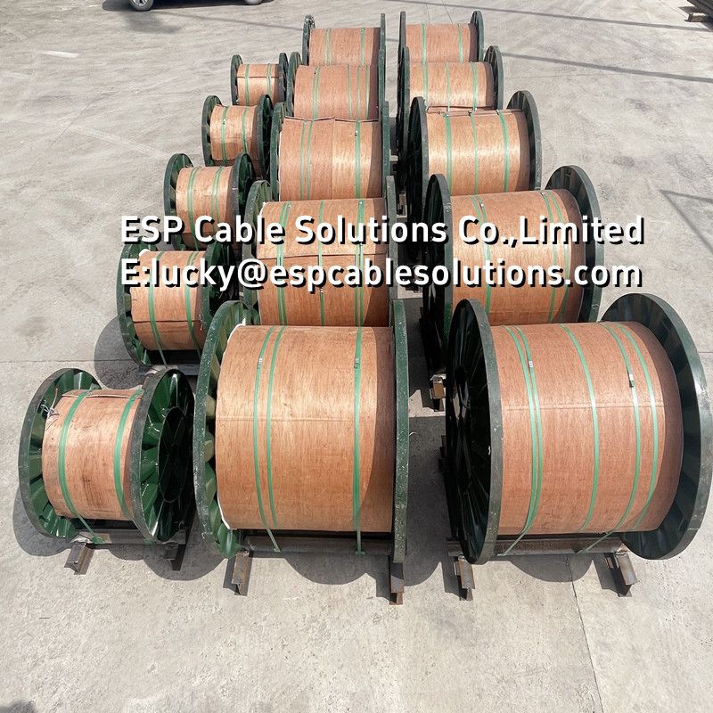 Duplex 2205 Capillary Tubing