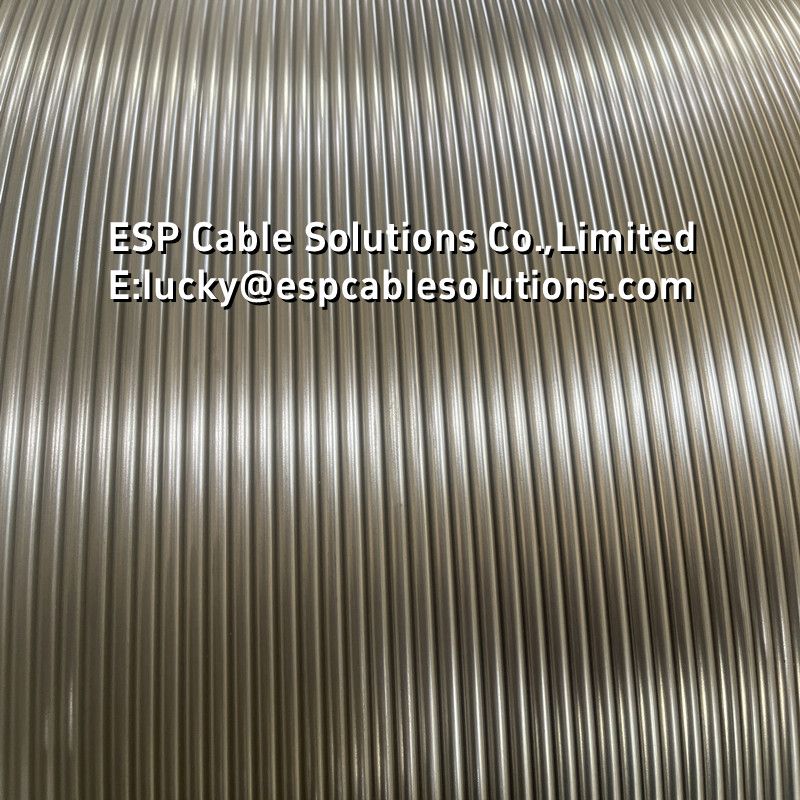 Duplex 2205 Capillary Tubing