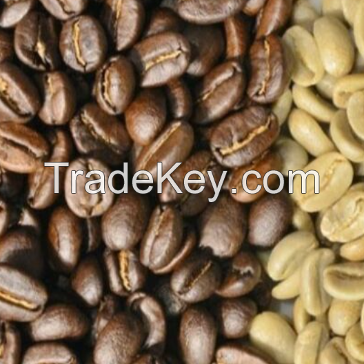 100% Natural Robusta Coffee Bean / Vietnam Green Coffee Beans / Wholesale Arabica Coffee Beans from Brazil