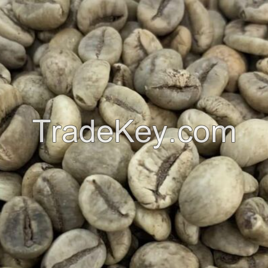 100% Natural Robusta Coffee Bean / Vietnam Green Coffee Beans / Wholesale Arabica Coffee Beans from Brazil