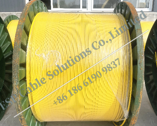 TEC cable(Tubing Encapsulated Cable)