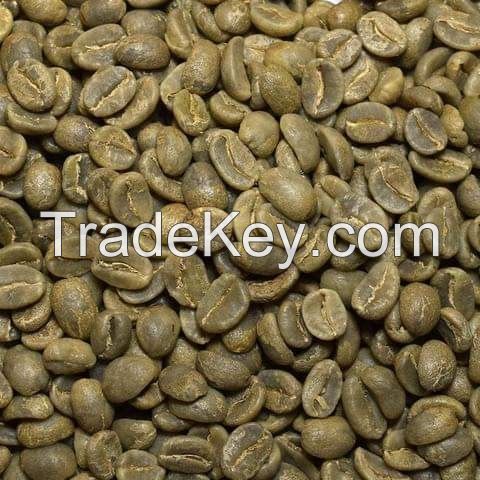 Green coffee  beans