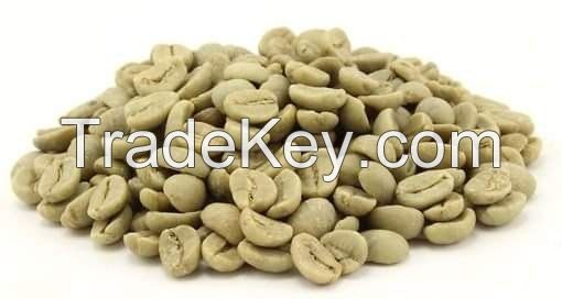 Green coffee  beans