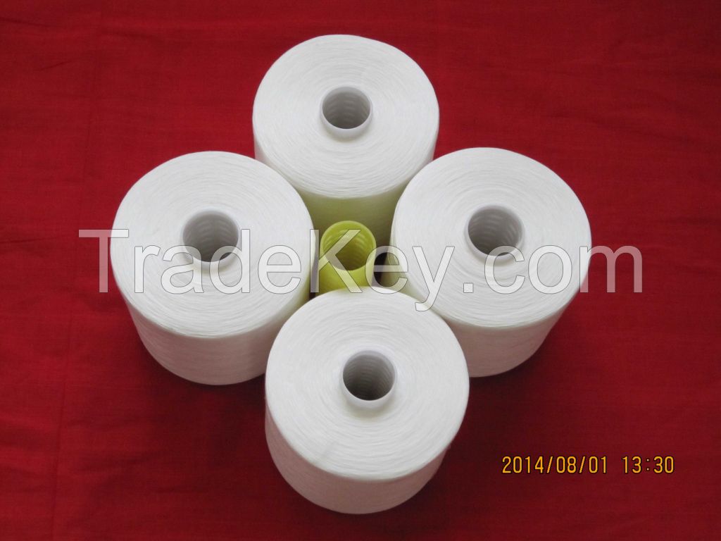 100% Polyester Raw White Sewing Thread 40/2