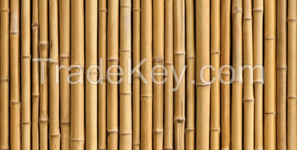 Karma Bamboo and Wood Branches