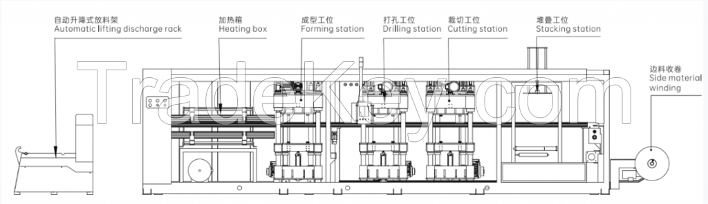 Multistations Thermoforming Machine ZHD-Series