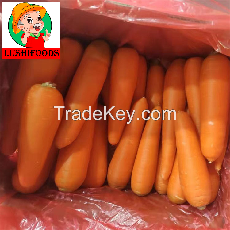 dried carrot/fresh carrot/Chinese carrot