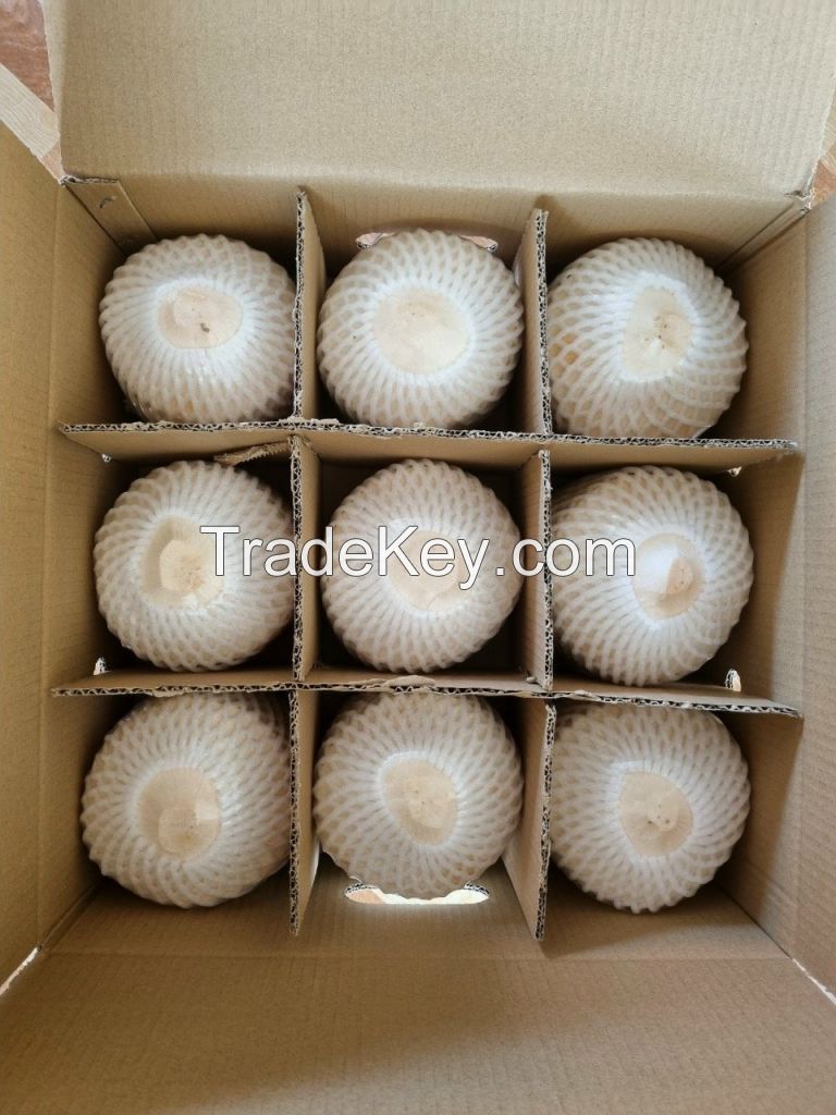 Fresh coconut/bulk coconut water/fresh coconut price from direct factory young coconut wholesale price