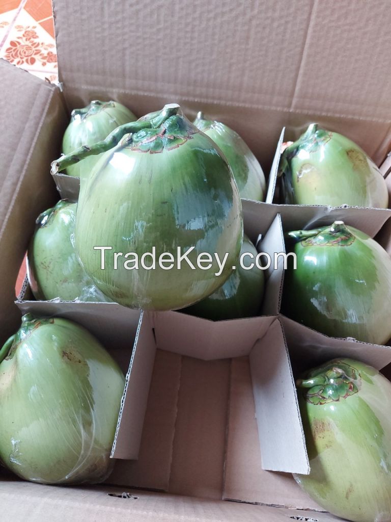 Fresh coconut/bulk coconut water/fresh coconut price from direct factory young coconut wholesale price