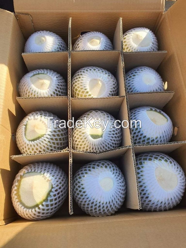 Fresh coconut/bulk coconut water/fresh coconut price from direct factory young coconut wholesale price