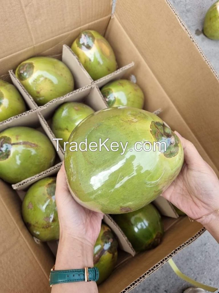 Fresh coconut/bulk coconut water/fresh coconut price from direct factory young coconut wholesale price