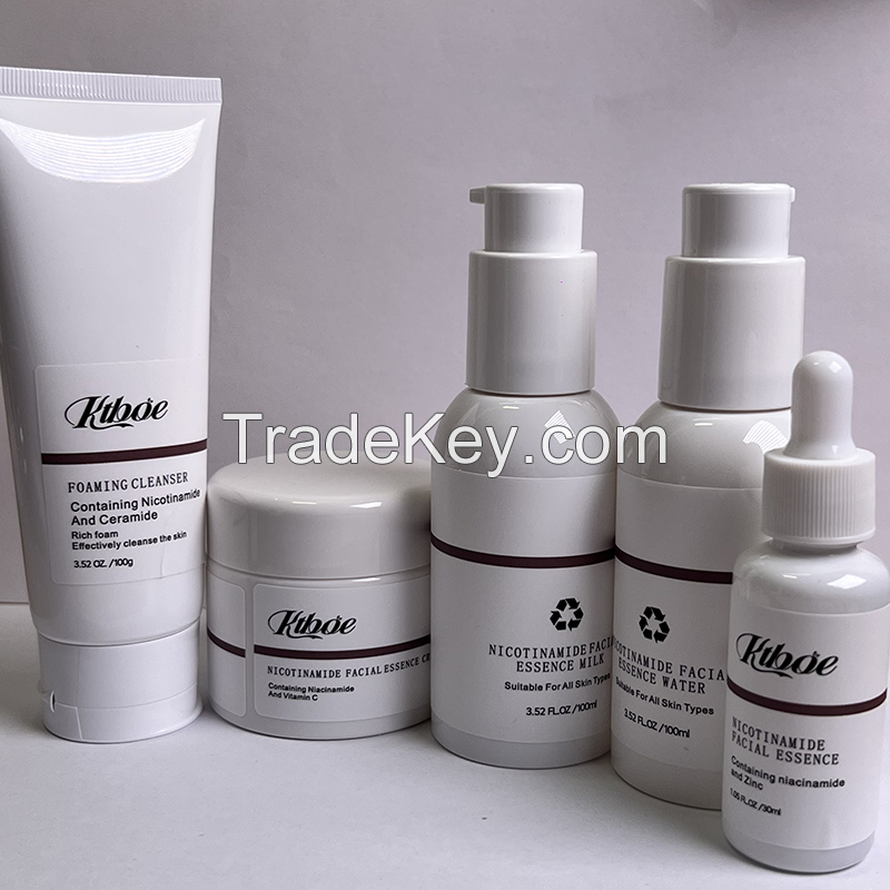 ALL ABOUT NIACINAMIDE KIT