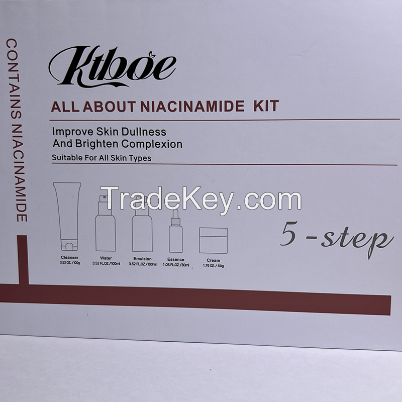 ALL ABOUT NIACINAMIDE KIT