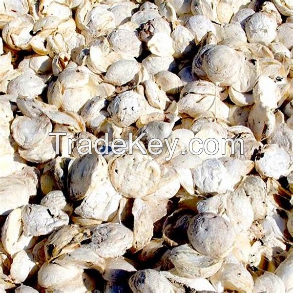 Cup Lump Origin Viet Nam DRC 70%