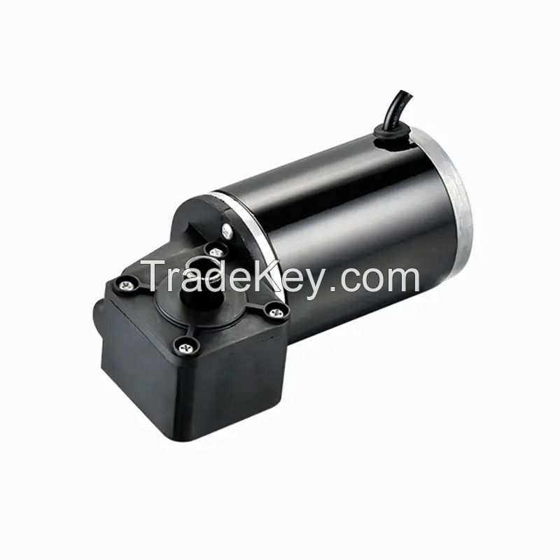 12V DC 200W 7712WZ brushed DC geared motor for golf bag cart