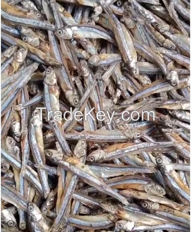 Dried Salted Anchovies