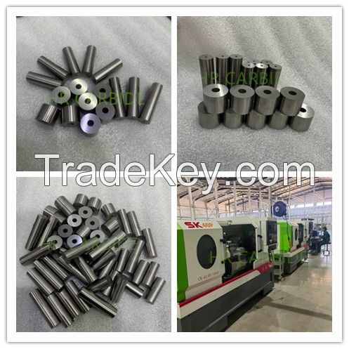 Tungsten Carbide Cold Forging Heading Stamping/Extrusion Punch Dies Mould