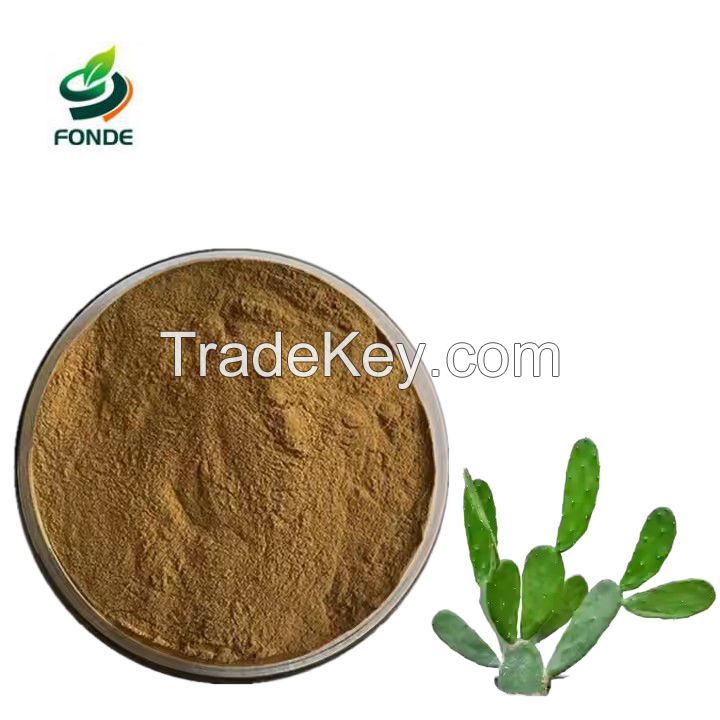 100% Natural Hoodia Cactus Extract Nopal Cactus Extract 20: 1