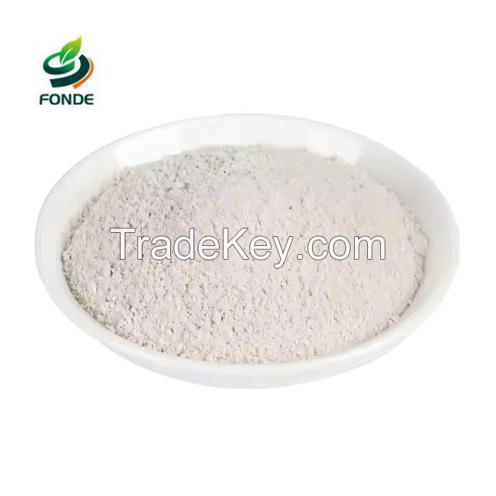 White Kidney Bean Powder 10:1 White Kidney Bean Extract 20000U Phaseolus Vulgaris Linn Extract