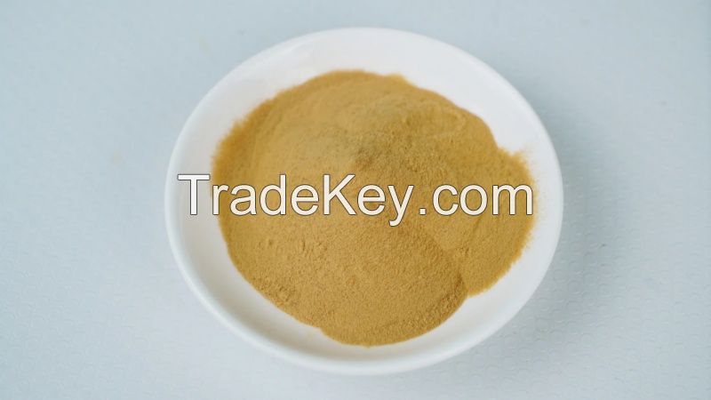 Hot Sale Soy Sauce Powder for Converting into Liquid or Seasoning Premium Food Additives