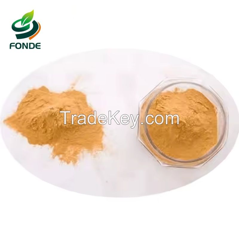 Hot Sale Soy Sauce Powder for Converting into Liquid or Seasoning Premium Food Additives