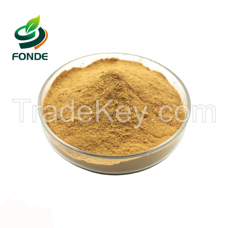 Supply White Tea Extract /Green tea extract/ Black tea extract Powder