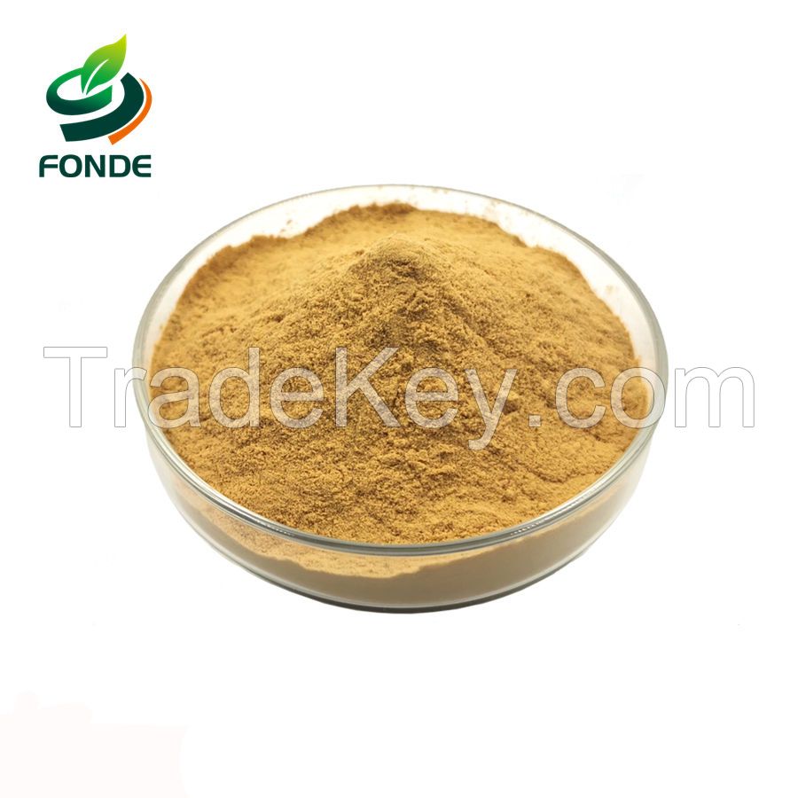 Supply White Tea Extract/Oolong tea extract/Pu 'er tea extract