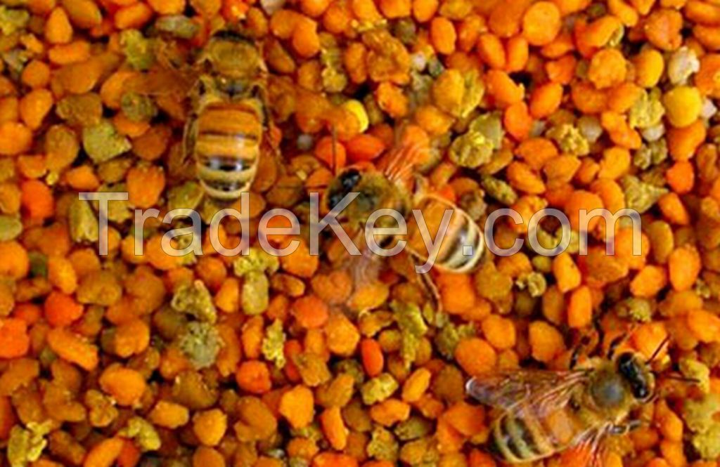 Food grade bee pollen honey Bee Pollen Rape Pollen 