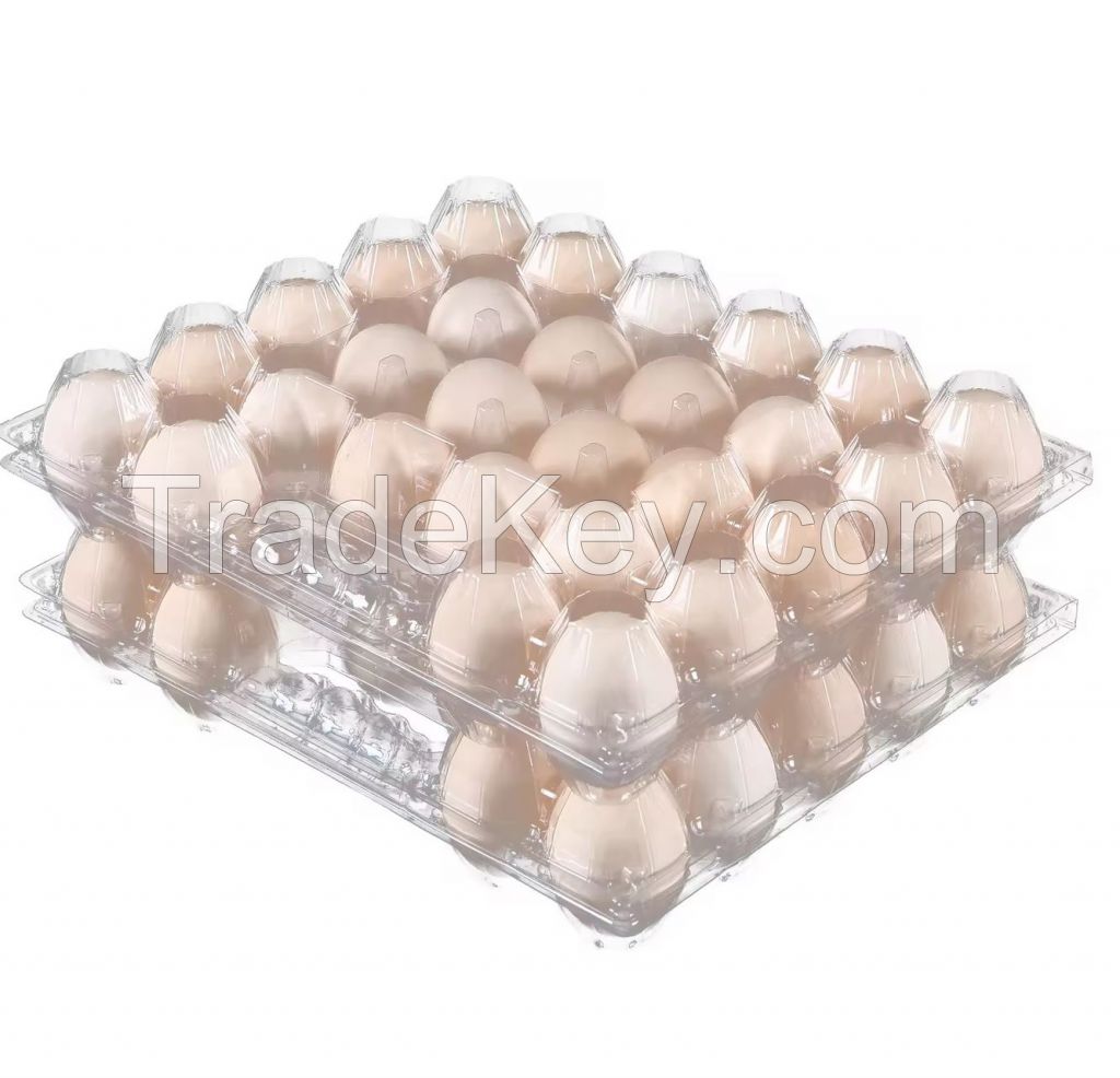 Plastic egg tray