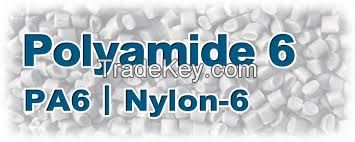 Polyamide 6 (PA6) Ã¢ï¿½ï¿½ High-Performance Engineering Plastic