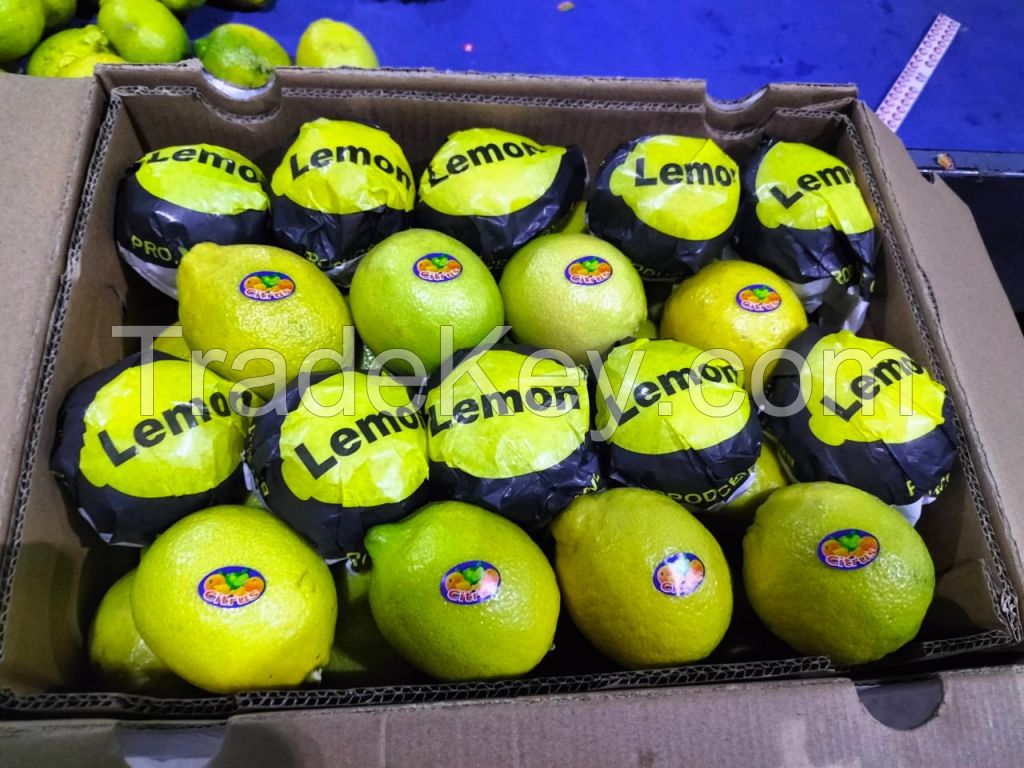 Fresh Lemon