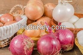 Fresh White , Yellow and Red Onion