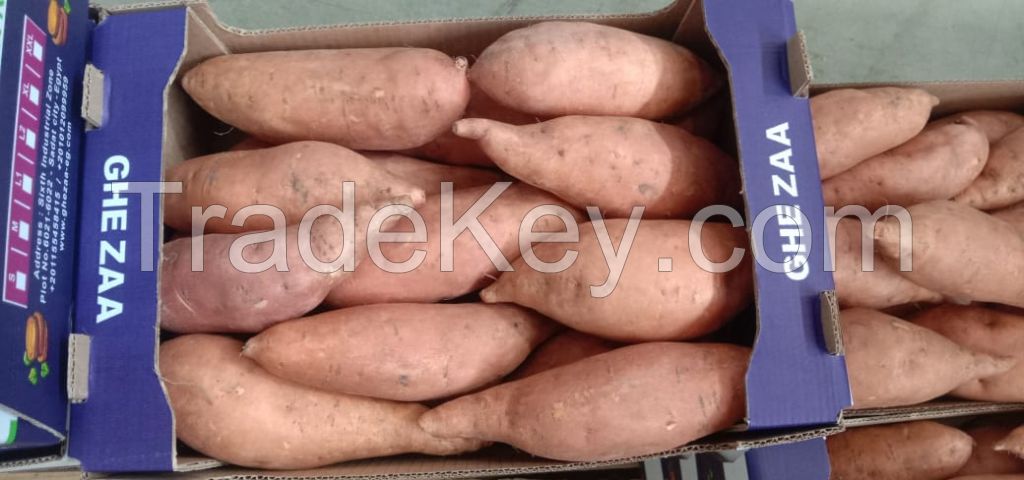 Fresh Sweet Potatoes