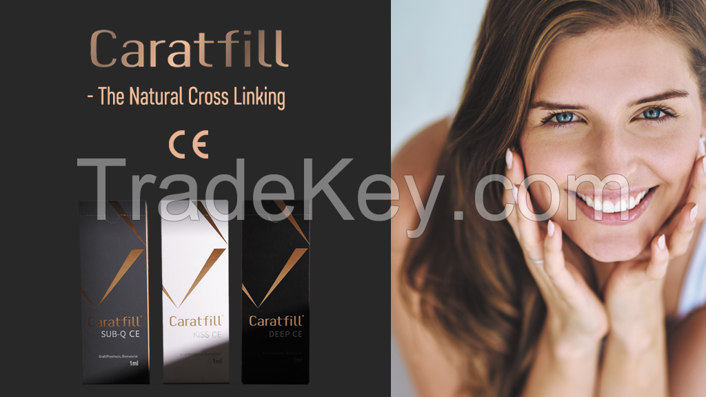 Caratfill Bodyfiller