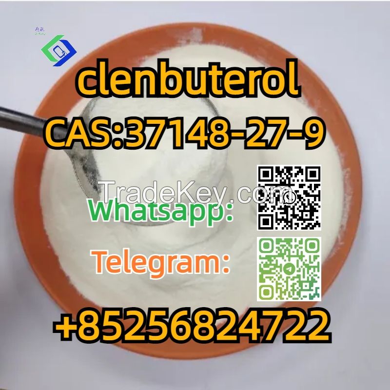 CAS:37148-27-9  clenbuterol 