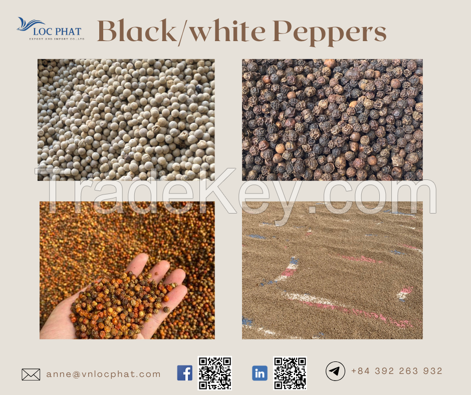 White peppers black peppers negotiable price on bulk orders 