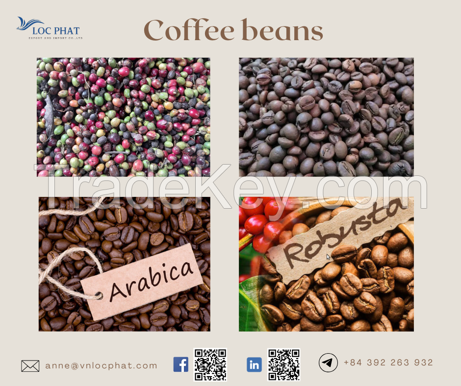 Arabica coffee beans roasted coffee bean raw coffee beans negotiable price on bulk orders