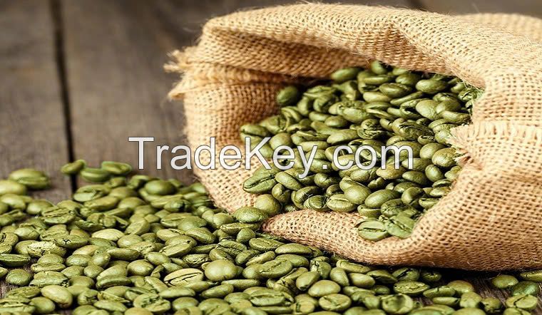 Arabica coffee beans roasted coffee bean raw coffee beans negotiable price on bulk orders