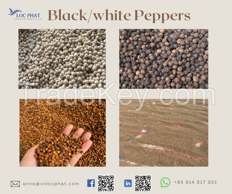 Black Peppers Negotiable Price With Perfect Package From Vietnam