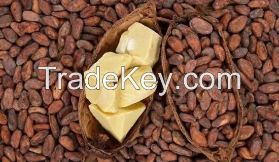 Food Grade Pure Deodorized Cocoa Butter With Best Price