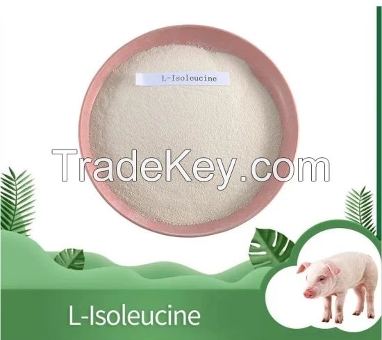 High Quality Supplement L-Isoleucine CAS 73-32-5 Isoleucine Powder