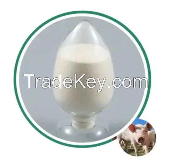 Hot Selling Amino Acid Food Grade L-Isoleucine 99%Min CAS 73-32-5