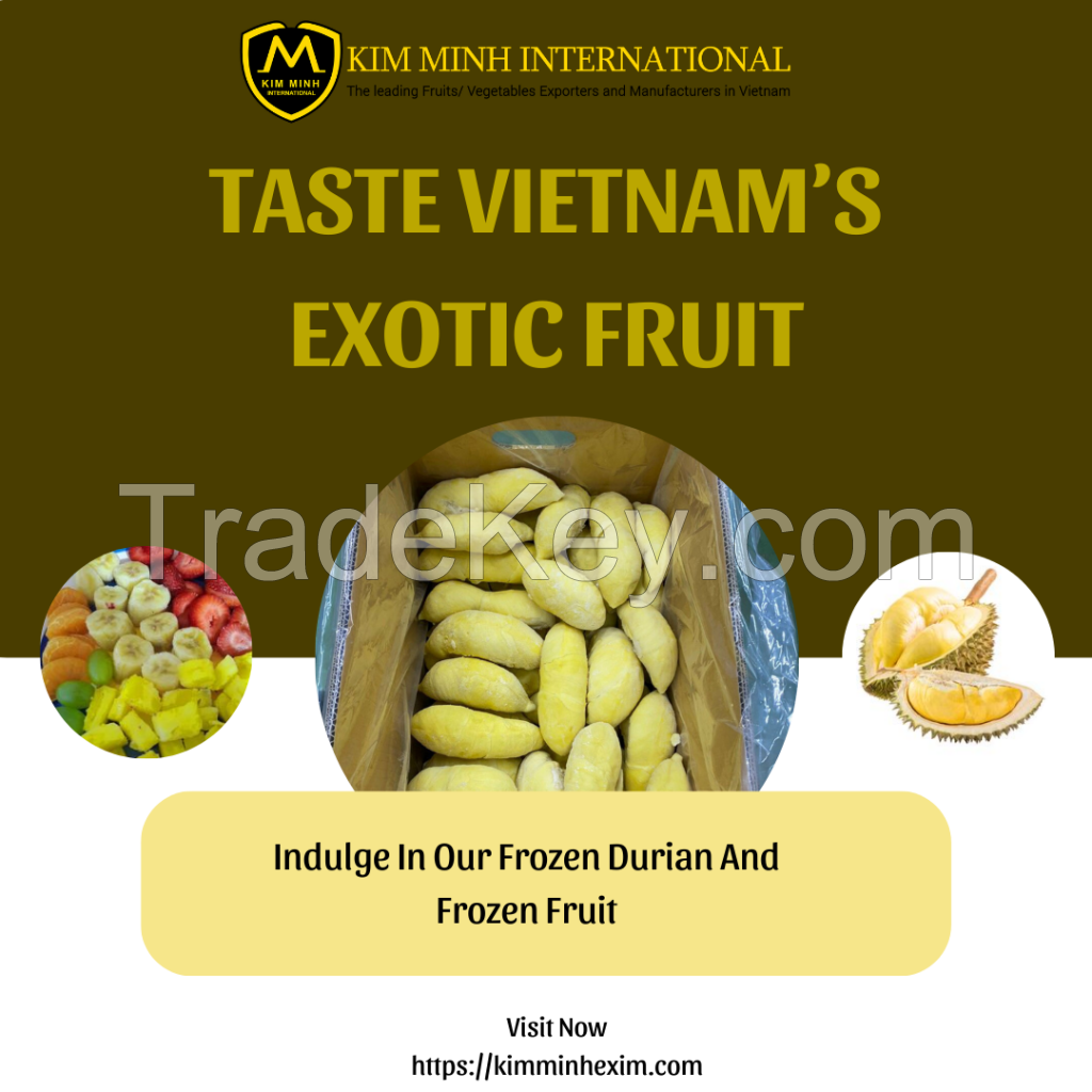 Premium Frozen Durian for International Markets Best Quality From Viet Nam