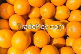 Oranges