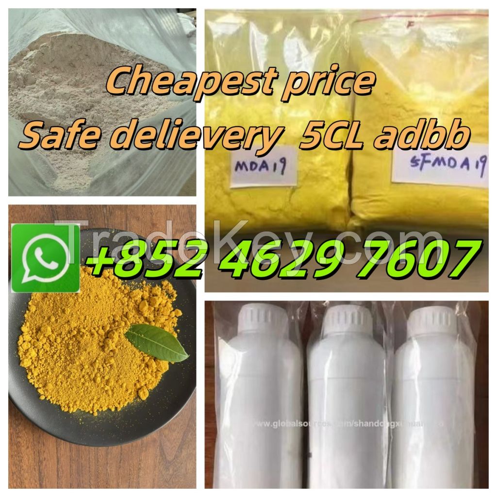 Free sample for CAS10250-27-8 Bmk/Pmk powder cas28578/5449 safe delivery