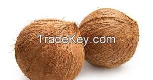 FRESH YOUNG COCONUT