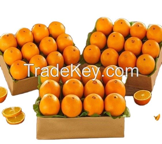 Fresh  Oranges