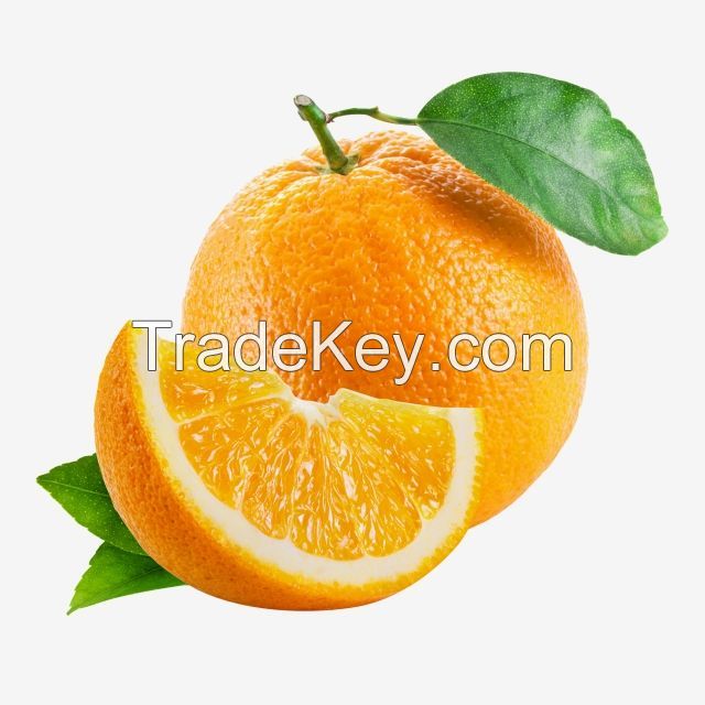 Fresh  Oranges