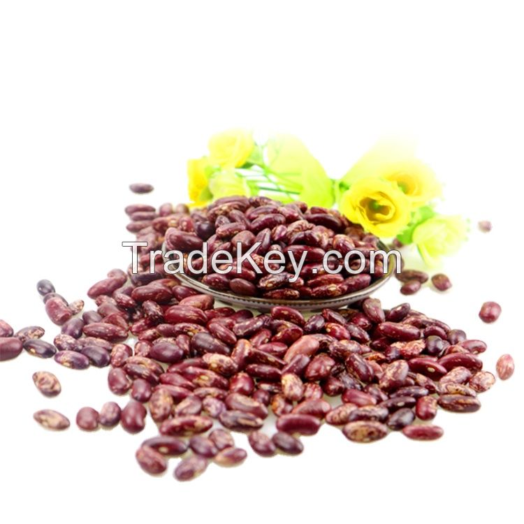 Kidney Beans